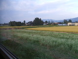 DSCF3389