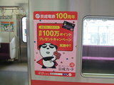 keiseipanda03