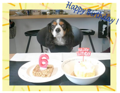 6ºÍ¤ÎBirthday