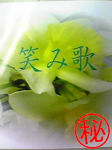 ffc1c228.jpg