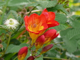 030b0f96.JPG