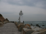 0310197a.JPG