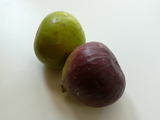 245e8043.JPG