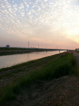 25a2744c.jpg