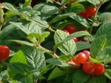 29897b6a.jpg
