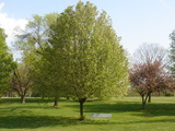 DSC04727