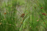 3b5c9363.JPG