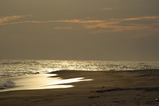 4cb5d88c.jpg