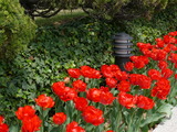 57c368fd.JPG