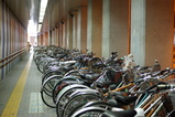 67207e66.jpg