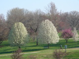 DSC04682