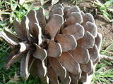 71c018a2.JPG
