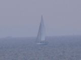 76f8d78e.jpg