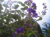 7f4d053d.JPG