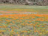 7f4f1613.jpg