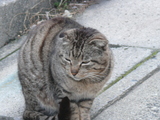 84e55f80.JPG