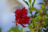 88df01c5.JPG
