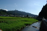 8bab8376.JPG