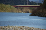 98a57c66.JPG