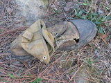 a68f631e.jpg