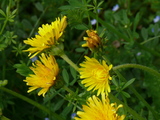 b2f95f1a.JPG