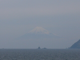 c23109e0.JPG