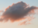 cc8a28c6.JPG