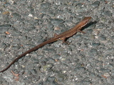 d89b2831.jpg