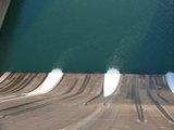 d8e56c36.jpg