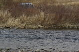 d945c8e9.JPG