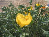 ebb48610.JPG