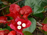 ee80d172.JPG