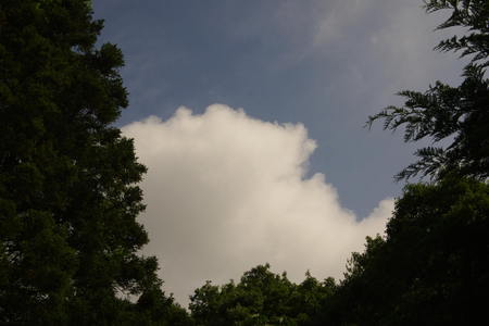 IMGP0121