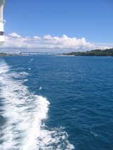 f10478ab.JPG