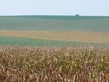 f8859552.jpg