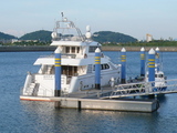 f95393cc.jpg