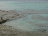fdcc59f2.JPG