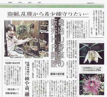 東京新聞01