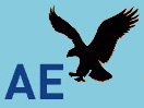 AMERICAN EAGLE 通販