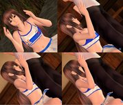 JS3Image1310