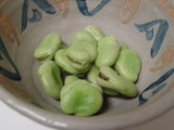 ����Ʀ�α�觤�