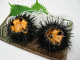 �褭��ð