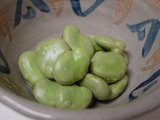 ����Ʀ�α�觤�