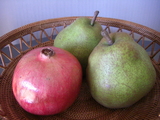 Fruits