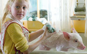 Charlotte's web