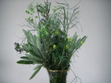 Herb