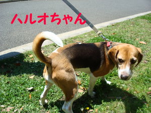 DSC01436