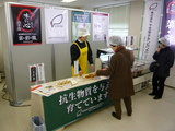�а濩�ʣ�