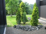 0a8325b9.jpg