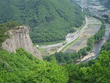 �˿���Ÿ˾�椫�鸫��